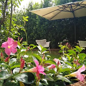 Bed & Breakfast Bio Vivere La, Polpenazze del Garda